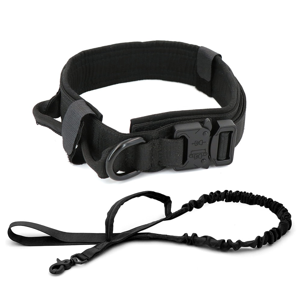 Collare Sgancio Regolabile 25 mm Collare per Cani Nylon Sicuro 1 Pezzo Collare Sgancio Regolabile 25 mm Collare per Cani Nylon Sicuro 1 Pezzo